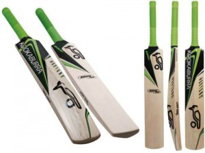 cricket-bat-300x223